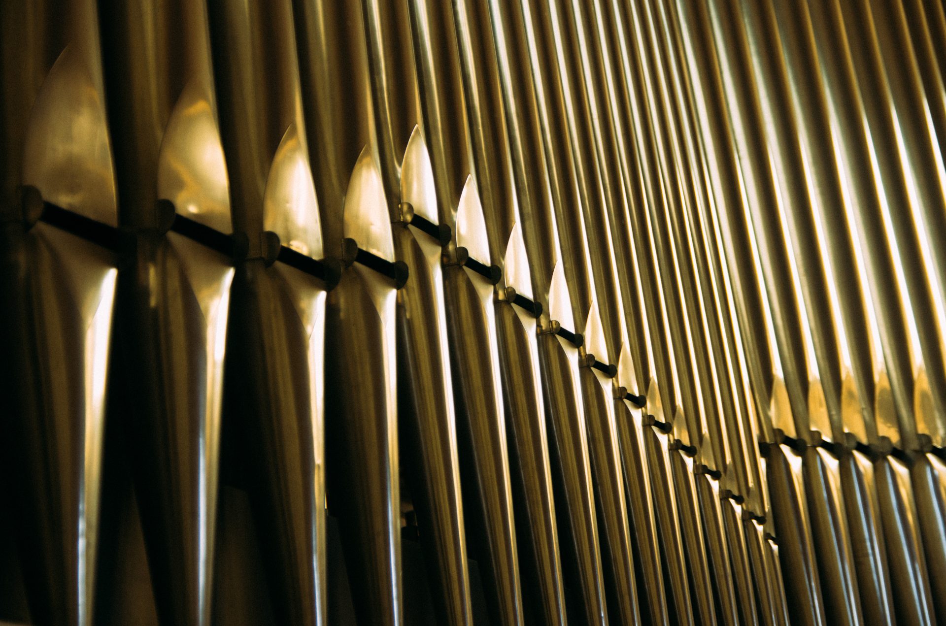 tuyaux orgue de tribune Danion-Gonzalez cathédrale notre dame de la treille lille